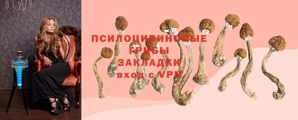 трава Горняк