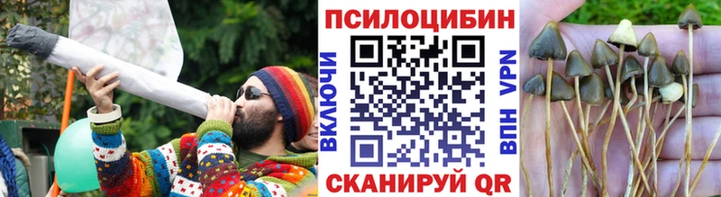Псилоцибиновые грибы Psilocybe  где купить наркоту  кракен tor  Тюмень 